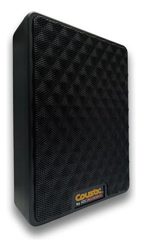 Coustic CO-10SAS 10
