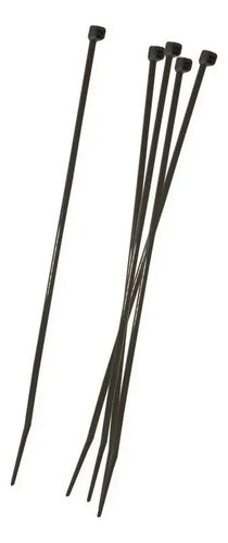 Paquete Con 60 Cinchos Nylon Cal.4, 6 Y 8 Extreme Cinchoptc3 Color Negro