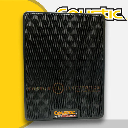 Coustic CO-10SAS 10
