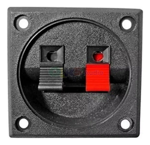 100 Bornes Cuadrado Terminal Para Bafle Cajones Push 57mm Color Negro