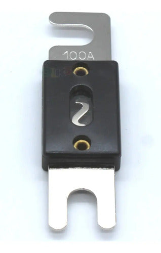 Paquete 10 Fusibles Anl 100amp. Negro Rockseries Anl100p