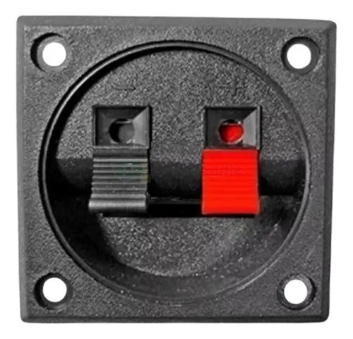 100 Bornes Cuadrado Terminal Para Bafle Cajones Push 57mm Color Negro