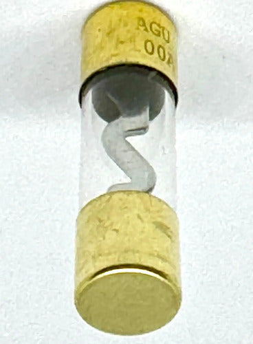 5 Fusibles Agu De Vidrio 30a 40a 50a 60a 70a 80a 100a Krack
