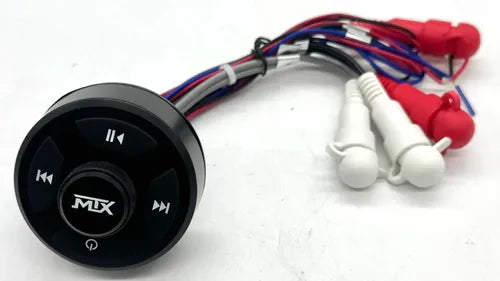 Receptor Bt Y Control Remoto Contra El Agua 4v Rca Mtx Awbtc